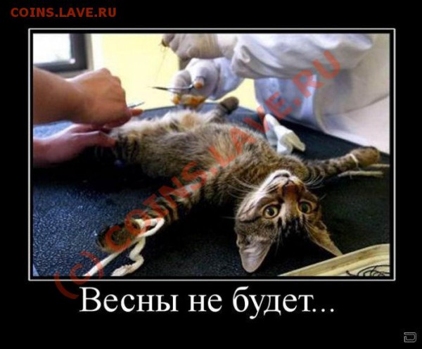 Ассоциация слов - Vesny ne budet