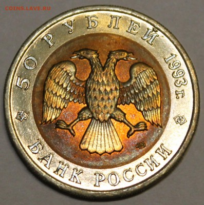 50 рублей 1993г Красная-книга (Кавказский Тетерев) - IMG_2249.JPG