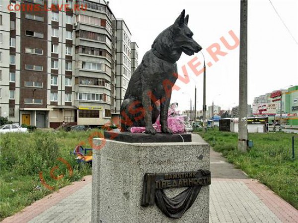 Преданность! - 1256073179_vernost