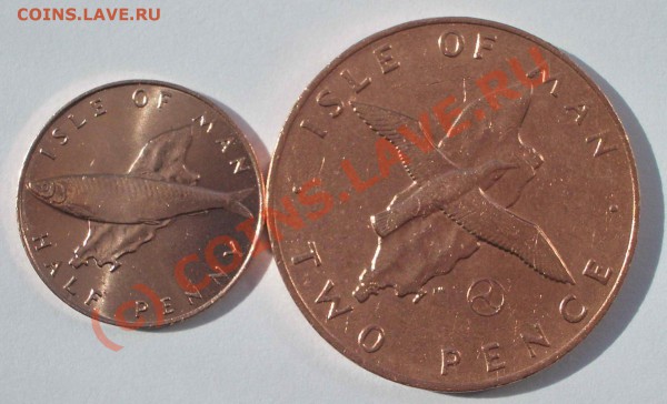 2 монеты Острова Мэн (окон. 26.03.10 в 21-00 МСК) - a05