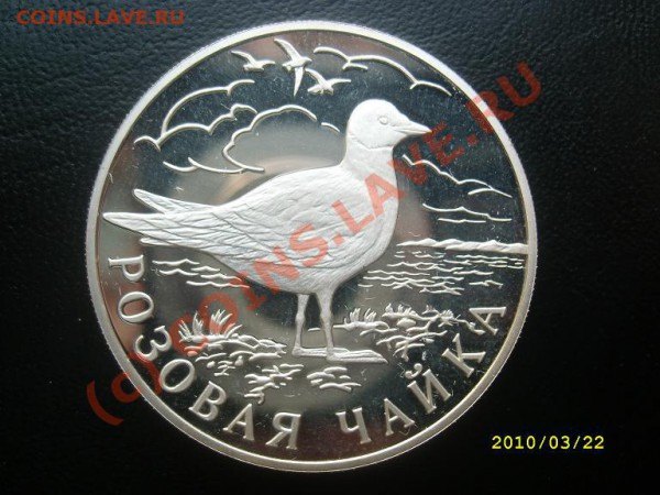 -1 руб. 1999г. Розовая чайка до 26.03.10г. 22-00мск - SL273230.JPG