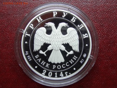 3р 2014 Московский Зоопарк до 26.06 22:00 МСК - DSC04447.JPG