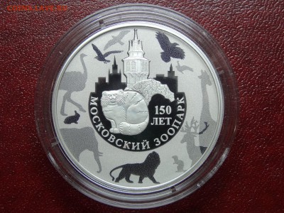 3р 2014 Московский Зоопарк до 26.06 22:00 МСК - DSC04446.JPG