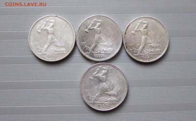 ПОЛТИННИКИ 1924г. (ТР-3шт., ПЛ-1шт.) 23.06.  22-00 мск - 24_4_1