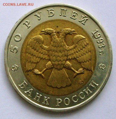 КК 50 руб.1993г. Тукменский зублефар (до 27-06-2014 в 22:00) - 100_9959.JPG