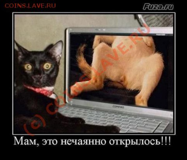 юмор - фва