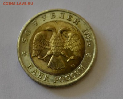 РОССИЯ,50 рублей 1993г(КК,Черноморская афалина)!!до 27.06 - _DSC0002.JPG