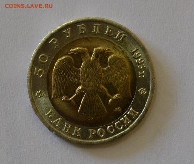 РОССИЯ,50 рублей 1993г(КК,Черноморская афалина)!!до 27.06 - _DSC0003.JPG