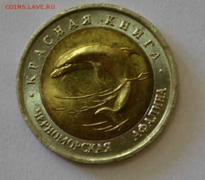 РОССИЯ,50 рублей 1993г(КК,Черноморская афалина)!!до 27.06 - _DSC0004.JPG