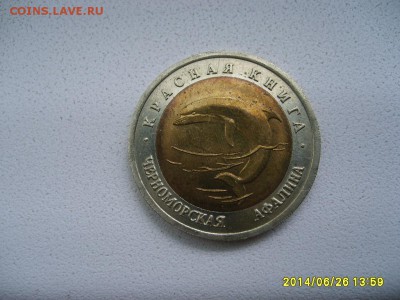 РОССИЯ,50 рублей 1993г(КК,Черноморская афалина)!!до 27.06 - S6000451.JPG