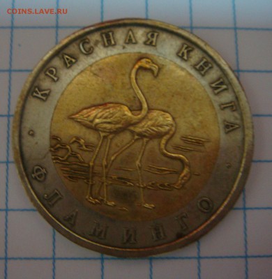 КК "Фламинго" и МИНИСТЕРСТВА Оценка - DSC09763.JPG