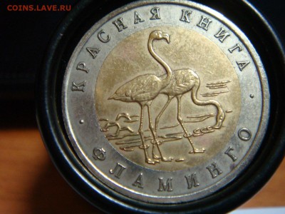 КК "Фламинго" и МИНИСТЕРСТВА Оценка - DSC09767.JPG