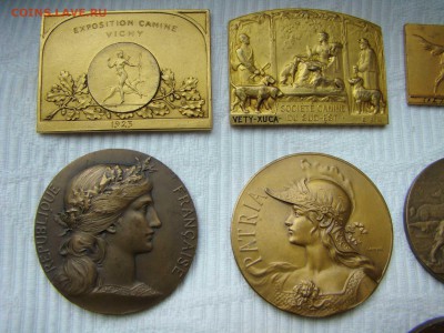 Медали и Плакетки призовые -выставки собак. 1920-30-е гг. - DSC09407.JPG