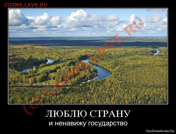 Стыдно и больно... - 1266926949_tjvzxc2i5gem
