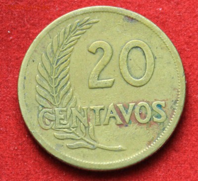 Конкурс «Veni Vedi Vici» - IMG_1983.JPG