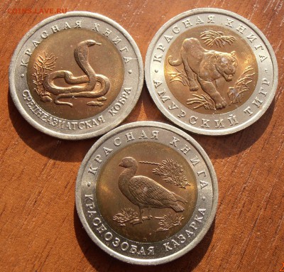 Красная Книга 1991-1994, до 07.07.2014 в 22-00 Мск - P7020216.JPG
