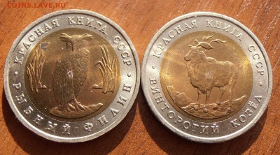 Красная Книга 1991-1994, до 07.07.2014 в 22-00 Мск - P7020214.JPG