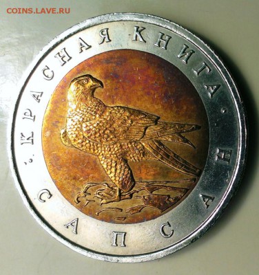 КК Сапсан 1994 До 06.07.14. в 22-10 - IMAG1428