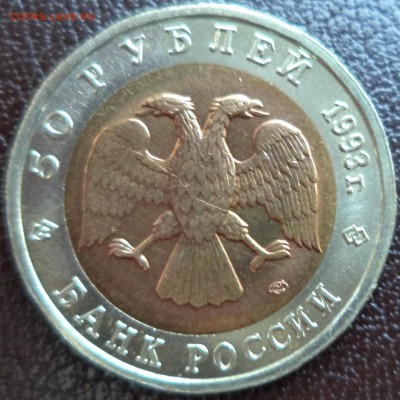 КК Дальневосточный Аист до 4.07.14г в 21.00 по МСК - DSC00235.JPG