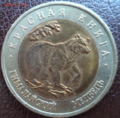 КК Гималайский Медведь до 4.07.14г в 21.00 по МСК - DSC00243.JPG