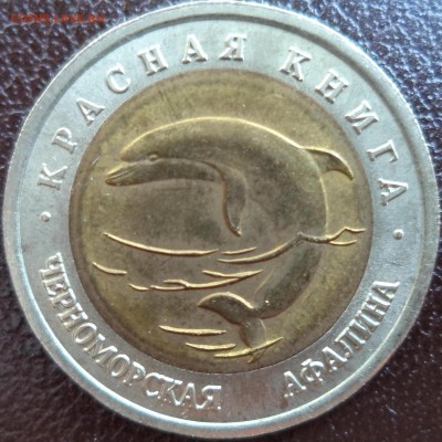 КК Черноморская Афалина до 4.07.14г в 21.00 по МСК - DSC00248.JPG