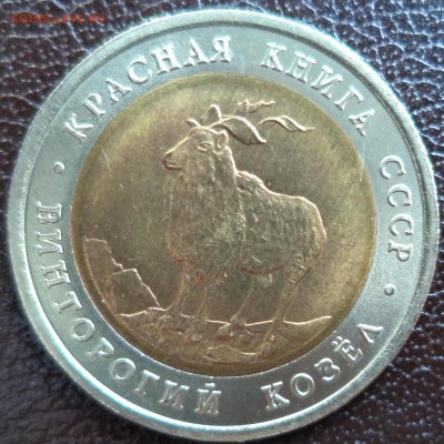 КК Винторогий Козёл до 4.07.14г в 21.00 по МСК - DSC00252.JPG