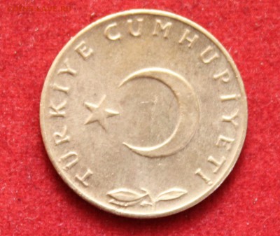 С рубля ТУРЦИЯ 5 куруш 1963г.ДУБОВАЯ ВЕТКА до 11.07.14г. - IMG_2865.JPG