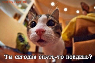 Ну а теперь про Украину - WbSktyK1prQ
