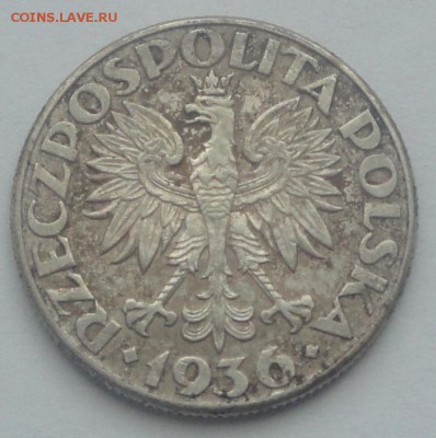 Польша 2 гроша 1923, 1 злотый 1929 и др., оценка - пол 9 14
