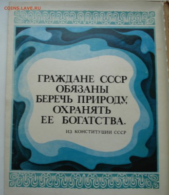 набор сувенирный.. спичечные коробки..РЫБЫ - DSC08018.JPG