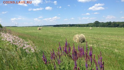 ФОТО - просто фото. Те что получились удачными. - image