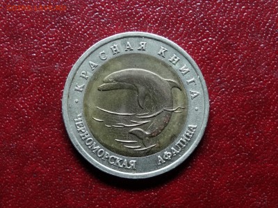 КК 50р 1993 Черноморская афалина до 10.07 22:00 МСК - DSC04556.JPG