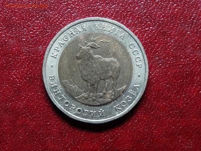 КК 5р 1991 Винторогий козел до 10.07 22:00 МСК - DSC04558.JPG