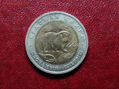 КК 50р 1994 Песчаный слепыш до 10.07 22:00 МСК - DSC04560.JPG