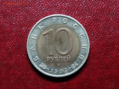 КК 10р 1992 Краснозобая казарка до 10.07 22:00 МСК - DSC04563.JPG