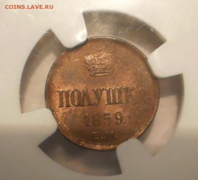 Полушка 1859 г. ЕМ NGC MS62RB до 13.07 в 22:00 Москвы - P1012313.JPG