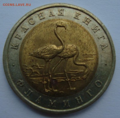 50 рублей 1994 г. КК Фламинго ФИКС - DSC05568.JPG