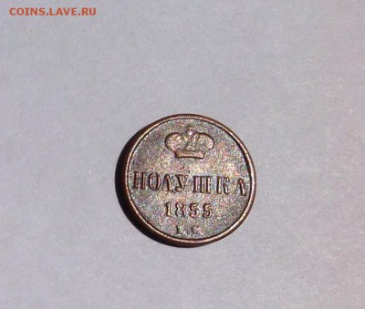 Оценка! Полушки 1850, 1851,1854, 1855. - image_1