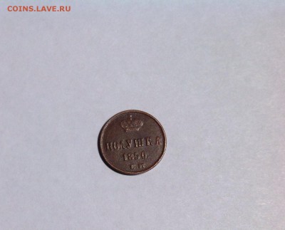 Оценка! Полушки 1850, 1851,1854, 1855. - image_7