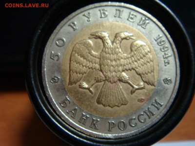 КК "Фламинго" 50 рублей   -   недолгий! - DSC09768.JPG