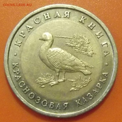 кк 10 рублей 1992г краснозобая казарка до 14.07 - kk2.JPG