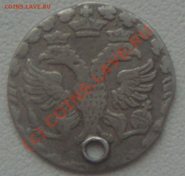 Алтын - DSC01502.JPG