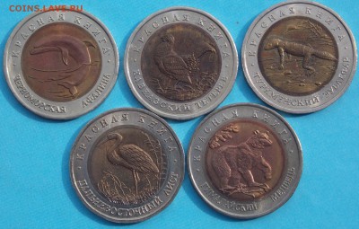 Красная книга 1993 года до 22-00 по мск 18.07.14 (короткий) - _DSCN2825.JPG