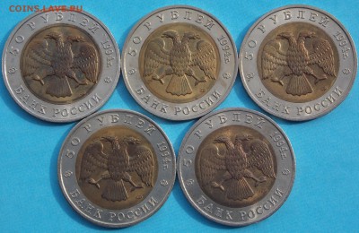 Красная книга 1994 года до 22-00 по мск 18.07.14 (короткий) - _DSCN2828.JPG