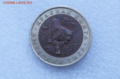10р 1992г. Амурский тигр - DSC06436.JPG