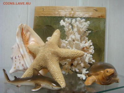 Коралл,морская звезда,раковина и две статуетки - DSC09807.JPG