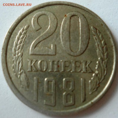 20 1981 шт.3.1- частая? - DSC01285.JPG