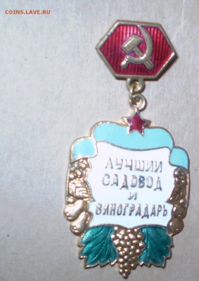 Знак"Лучший садовод и виноградарь"Краснодарского Края за ЛВ. - P1010020.JPG