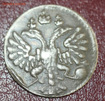 ГРИВЕННИК 1735г. проверка подлинности и оценка. - IMG_3069.JPG