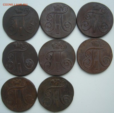2 копейки Павла 1 - 8 штук на оценку - P1230016.JPG